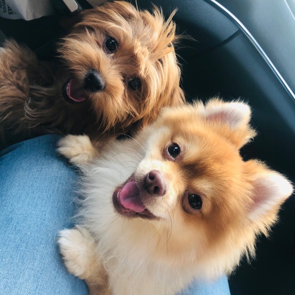 Meet your Posher! - Picture 1 of 1